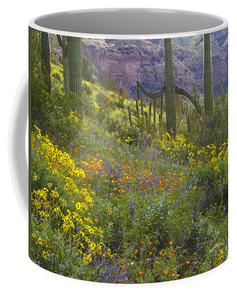 00175594 Coffee Mug featuring the photograph Saguaro Amid Flowering Lupine #1 by Tim Fitzharris