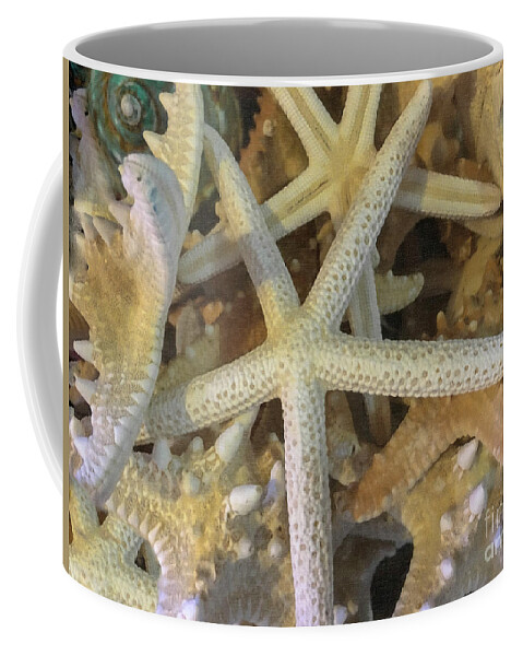 Sea Shell Coffee Mug featuring the photograph Sea Shells by Dale Powell