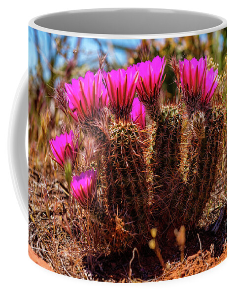 Arizona Coffee Mug featuring the photograph Sedona Cactus Flower #1 by Raul Rodriguez