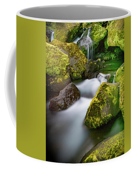 Iceland Coffee Mug featuring the photograph Silky smooth water-aquascape. by Usha Peddamatham