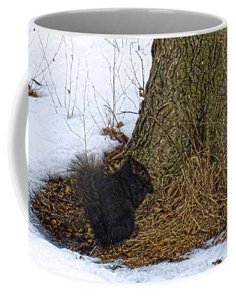 Winter Coffee Mug featuring the photograph Snack Time #1 by Wild Thing