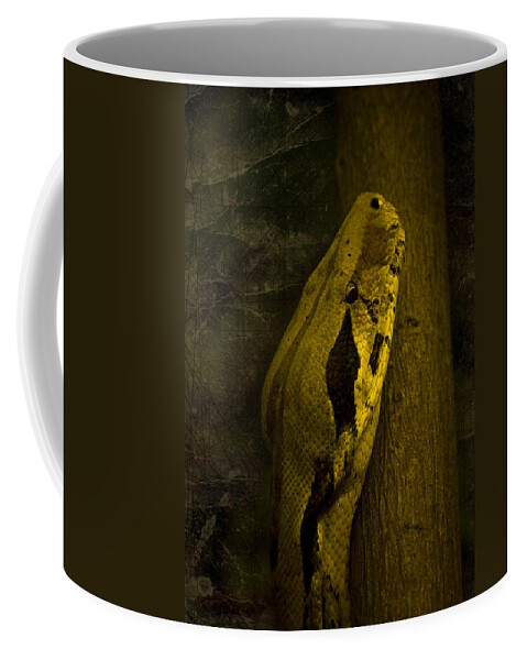 Black Snake Coffee Mug featuring the photograph Snake #1 by Svetlana Sewell