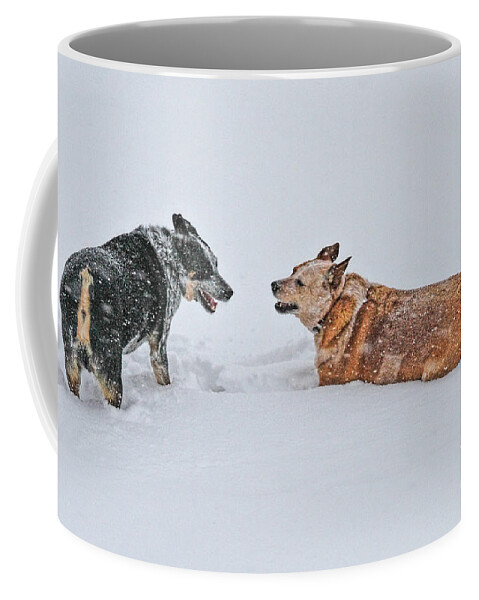 Australian Cattle Dog Coffee Mug featuring the photograph Snow Play by Elizabeth Winter