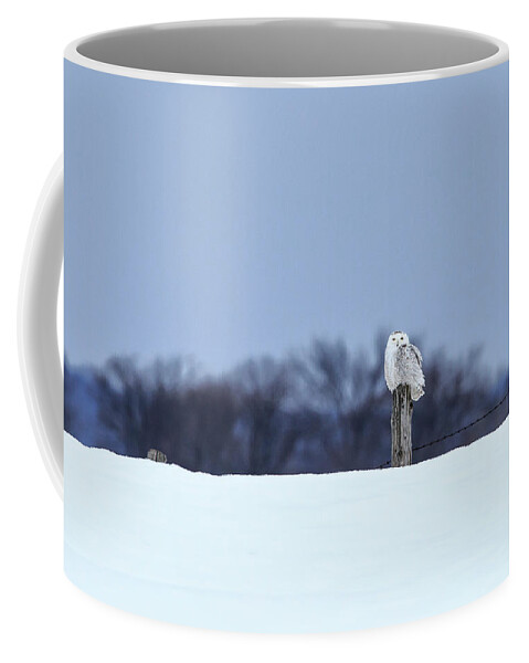 Rural Coffee Mug featuring the photograph Snowy Owl 2 #1 by Gary Hall