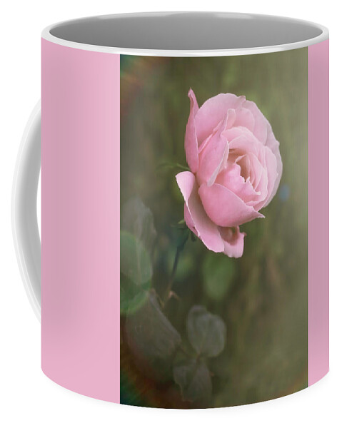 Roses Coffee Mug featuring the photograph Softness #1 by Elaine Malott