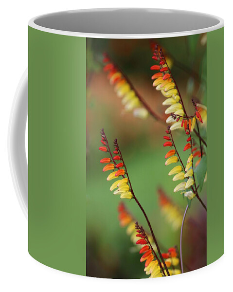 Flower Coffee Mug featuring the photograph Spanish Flag #1 by Living Color Photography Lorraine Lynch