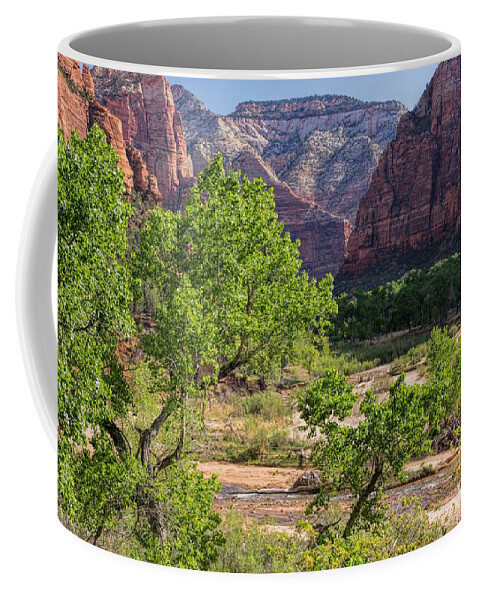 Utah Coffee Mug featuring the photograph Spring in Zion #1 by Peggy Hughes