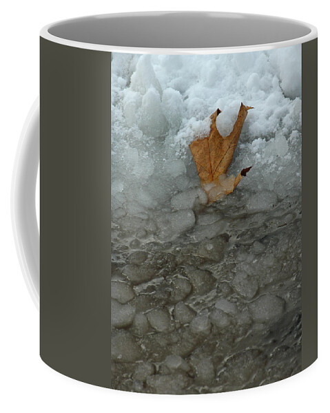 Boston Coffee Mug featuring the photograph Stranded #1 by Juergen Roth