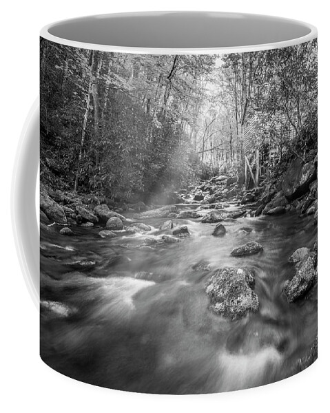 Tremont Coffee Mug featuring the photograph Stream in the Smokies #1 by Jon Glaser