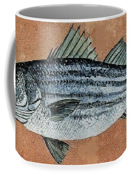 Fish Striped Bas Coffee Mug featuring the painting Striper #1 by Andrew Drozdowicz