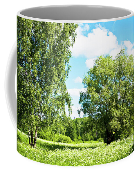 Summer Coffee Mug featuring the photograph Summer landscape #1 by Irina Afonskaya