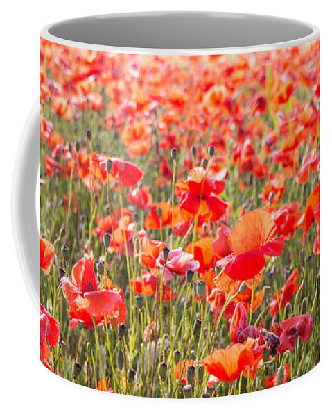 3x1 Coffee Mug featuring the photograph Summer poetry by Hannes Cmarits
