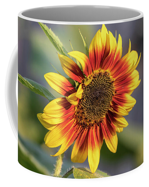Sunflower Coffee Mug featuring the photograph Sunflower 2018-1 by Thomas Young