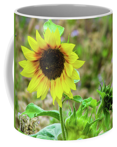 Flower Coffee Mug featuring the photograph Sunflowers #1 by Cesar Vieira