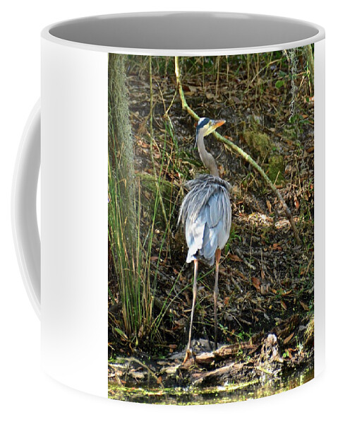 Nature Coffee Mug featuring the photograph Sunlight and Shadows #1 by Carol Bradley