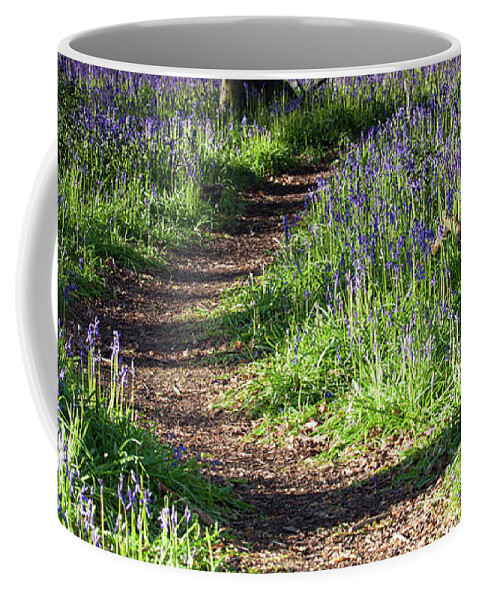 Norfolk Coffee Mug featuring the photograph Norfolk, England sunrise path through bluebell woods by Simon Bratt