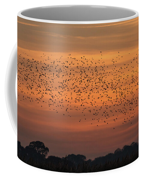©wendy Cooper Coffee Mug featuring the photograph Sunset Starlings #1 by Wendy Cooper