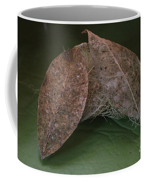Leaves Coffee Mug featuring the photograph Tangled #1 by Marie Neder