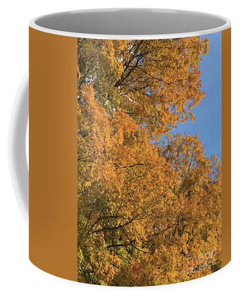 Gold Coffee Mug featuring the photograph Leafmore Gold by Lizi Beard-Ward
