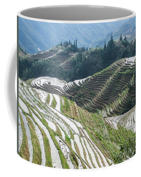 Scene Coffee Mug featuring the photograph Terrace fields scenery in spring #1 by Carl Ning