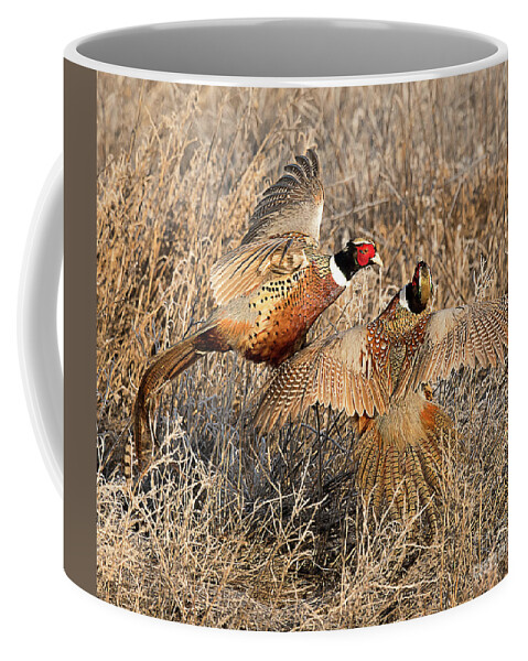 Bird Coffee Mug featuring the photograph Territorial Dispute #1 by Dennis Hammer