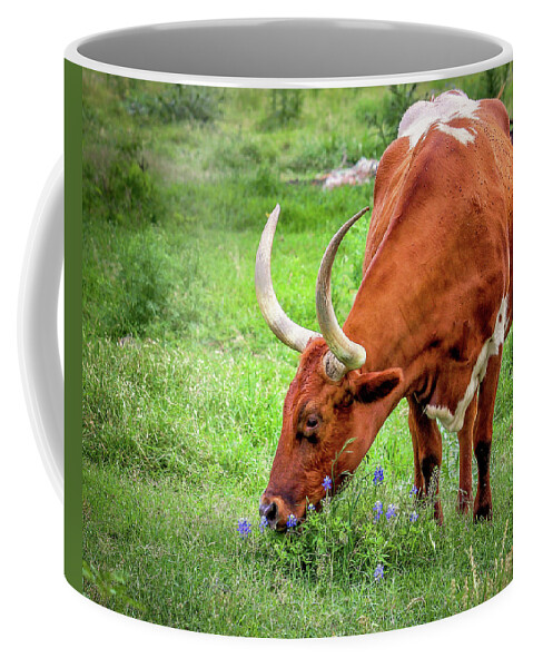 Texas Longhorns Coffee Mug featuring the photograph Texas Longhorn Grazing #1 by Robert Bellomy