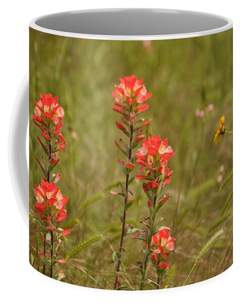 Texas Hill Country Coffee Mug featuring the photograph Texas Paintbrush by Frank Madia