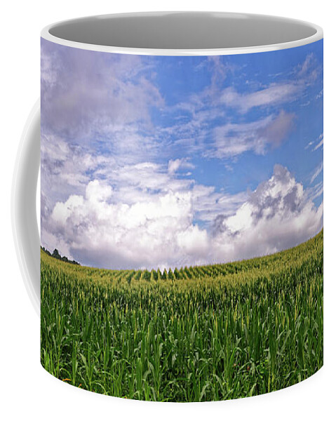 Corn Coffee Mug featuring the photograph The Corn Field #1 by Paul Mashburn