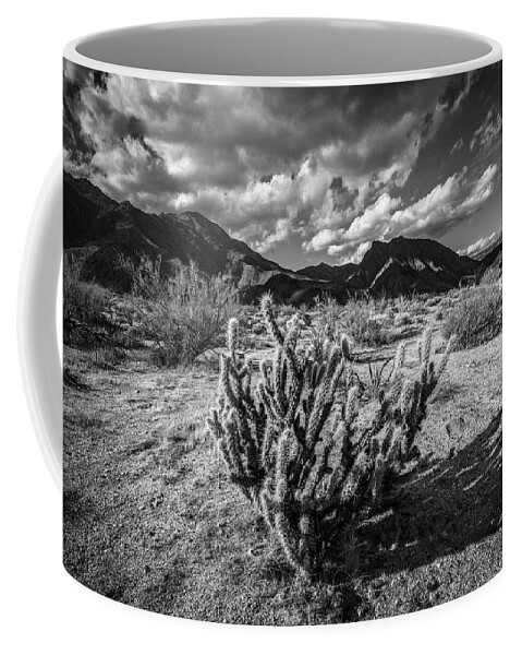 Anza - Borrego Desert State Park Coffee Mug featuring the photograph The Desert #2 by Peter Tellone