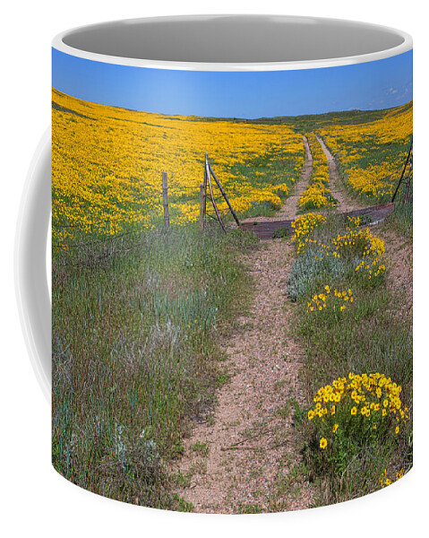 Yellow Wildflowers Coffee Mug featuring the photograph The Golden Gate by Jim Garrison