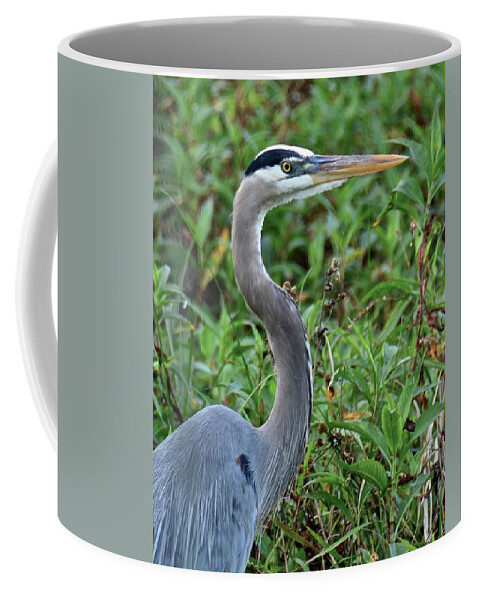 Heron Coffee Mug featuring the photograph The Stare #1 by Carol Bradley