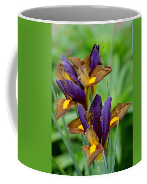 Tiger Irises Coffee Mug featuring the photograph Tiger Irises #1 by Living Color Photography Lorraine Lynch