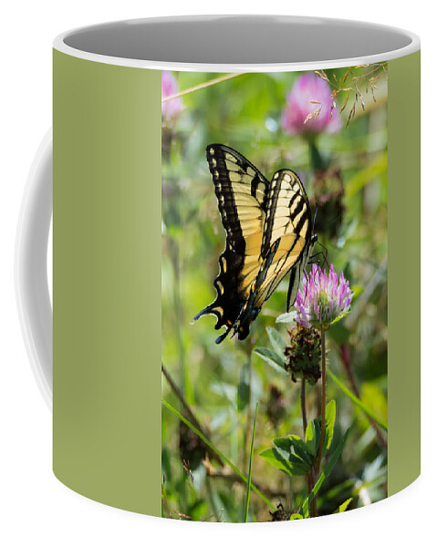 Butterfly Coffee Mug featuring the photograph Tiger Swallowtail Butterfly by Holden The Moment