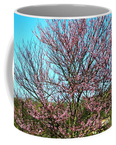 Trees Coffee Mug featuring the photograph Tree 2 #1 by Karl Rose