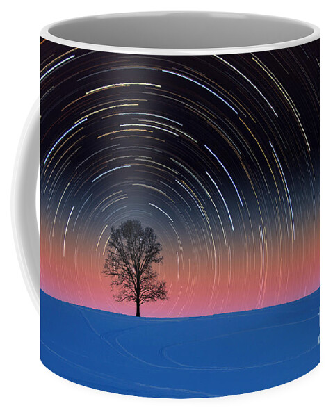 Composite Coffee Mug featuring the photograph Tree With Star Trails #1 by Larry Landolfi