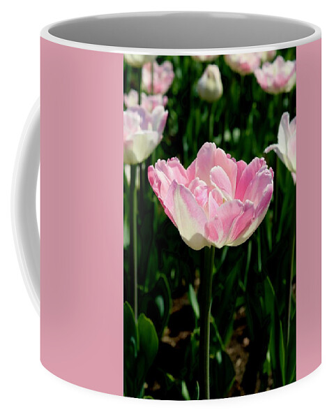 Tulip Coffee Mug featuring the photograph Tulip #1 by Sarah Lilja