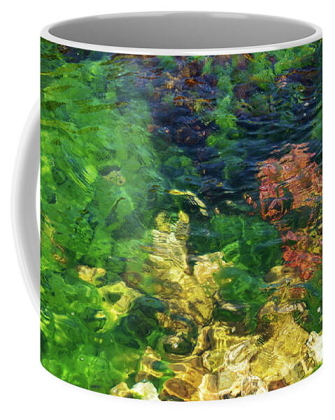 Burgazada Island Coffee Mug featuring the photograph Underwater Color #2 by Bob Phillips