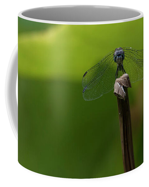 Dragonfly Coffee Mug featuring the photograph Vigilance by Holly Ross