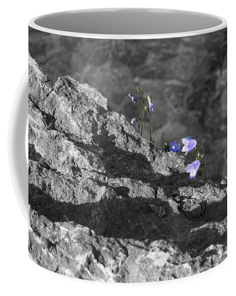 Desaturation Coffee Mug featuring the photograph Violescence by Dylan Punke