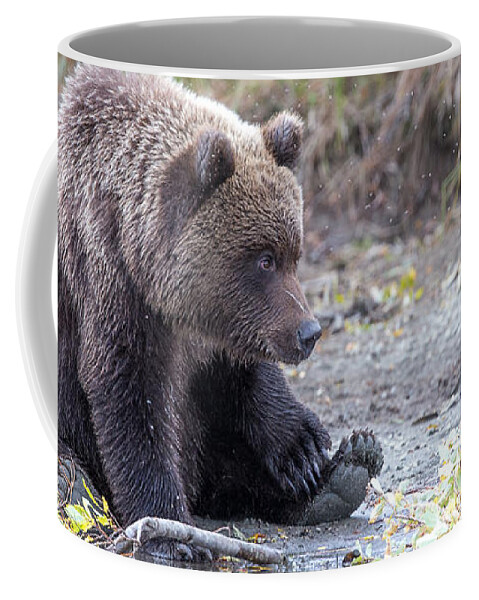 2015 Coffee Mug featuring the photograph Waiting #1 by Kevin Dietrich