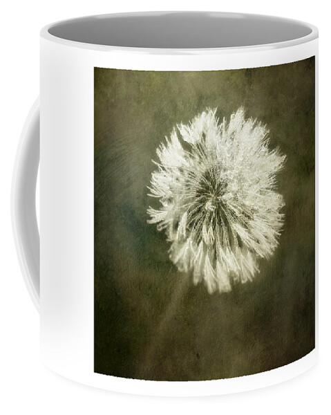 Dandelion Flower Coffee Mug featuring the photograph Water Drops on Dandelion Flower by Scott Norris