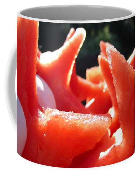 Watermelon Coffee Mug featuring the photograph Watermelon #1 by Jackie Russo