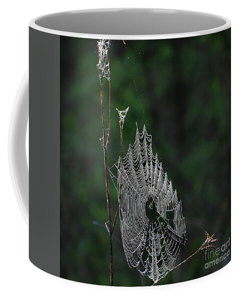 Nature Coffee Mug featuring the photograph Webs We Weave #1 by Skip Willits