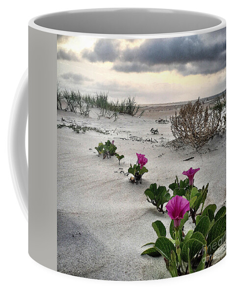Saturday Coffee Mug featuring the photograph Weekend glories 6.18.16 #1 by LeeAnn Kendall