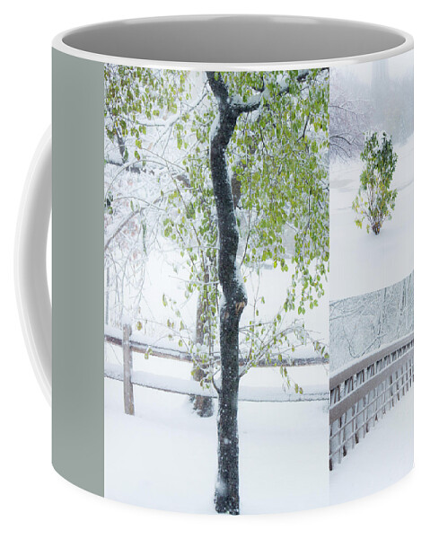 Snow Coffee Mug featuring the photograph White and Green #1 by Tracey Rees
