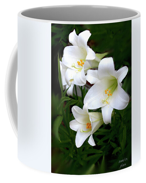 Lilies Coffee Mug featuring the photograph White Lilies #2 by Bonnie Willis