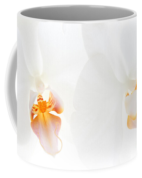 White Orchid Coffee Mug featuring the photograph White Orchids #1 by Ann Garrett