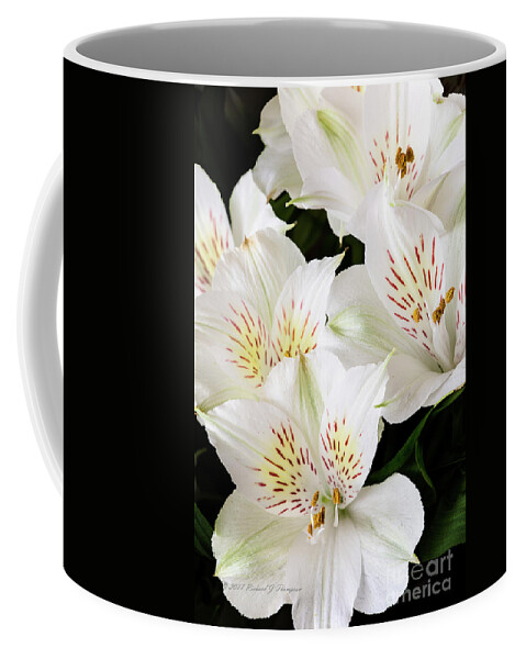 Peruvian Lilies Coffee Mug featuring the photograph White Peruvian Lilies In Bloom #2 by Richard J Thompson