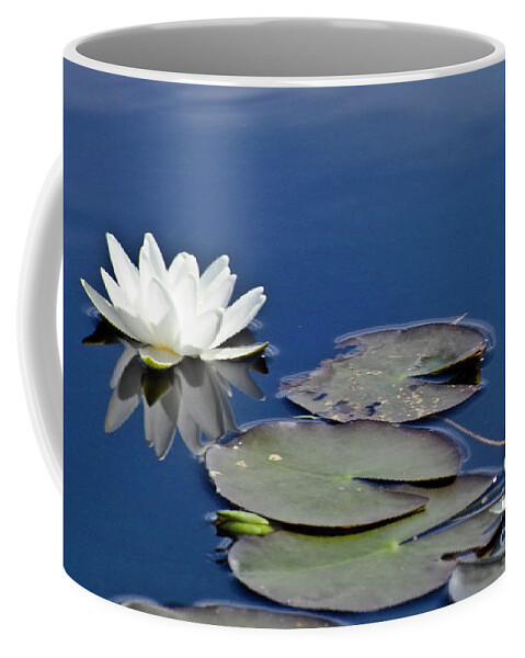 Water Llilies Coffee Mug featuring the photograph White Water Lily #2 by Heiko Koehrer-Wagner