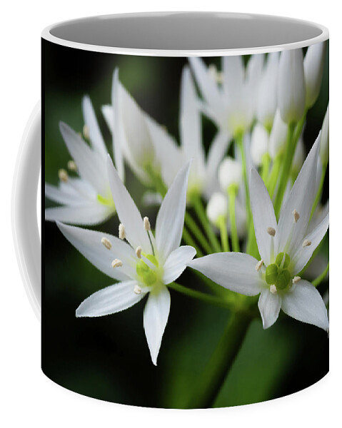 Wild Garlic Coffee Mug featuring the photograph Wild Garlic by Nick Bywater